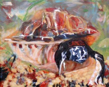 Shlomo - Faithful pet for twenty years. - acrylic on canvas – 16 x 20 - 2024